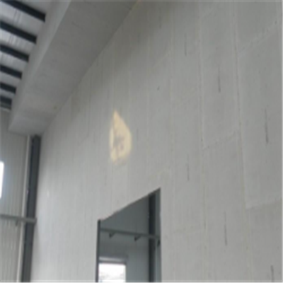 平房宁波ALC板|EPS加气板隔墙与混凝土整浇联接的实验研讨